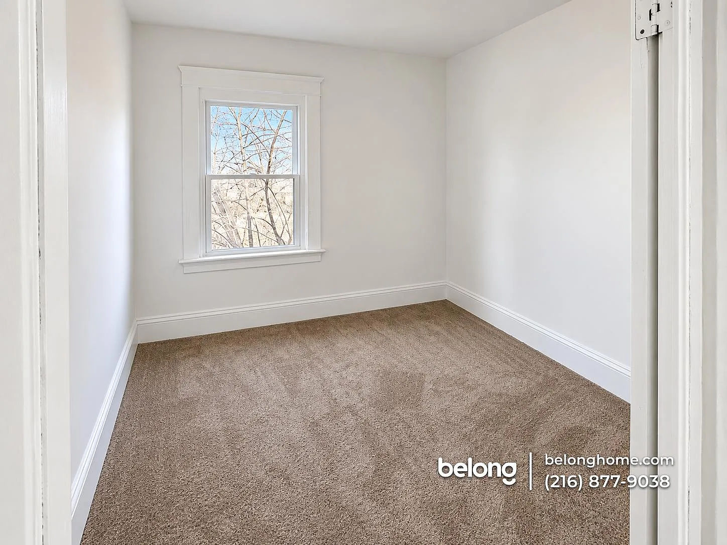 3 bed, 1.0 bath, 800 sqft, $1,295 — Photo 3