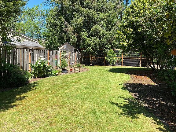 Expansive back yard
