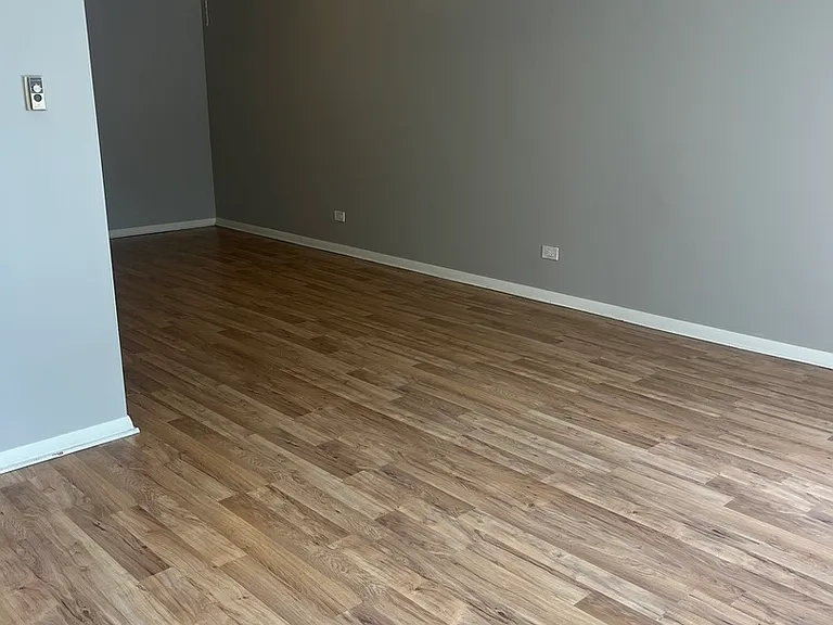 10316 S Komensky Ave #1B — Photo 4