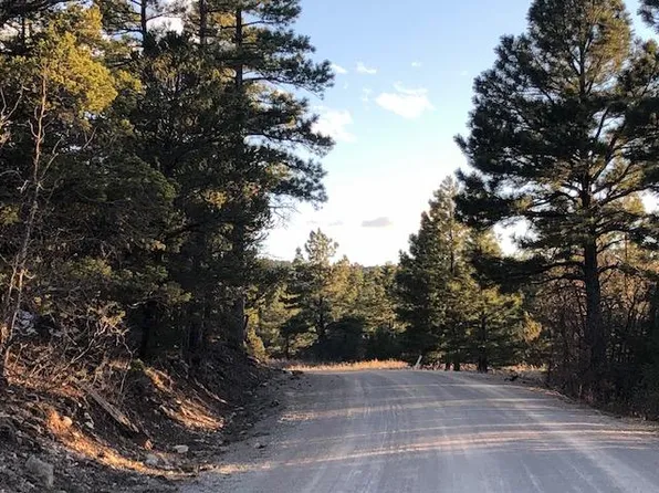 Young Rd, Tijeras, NM 87059