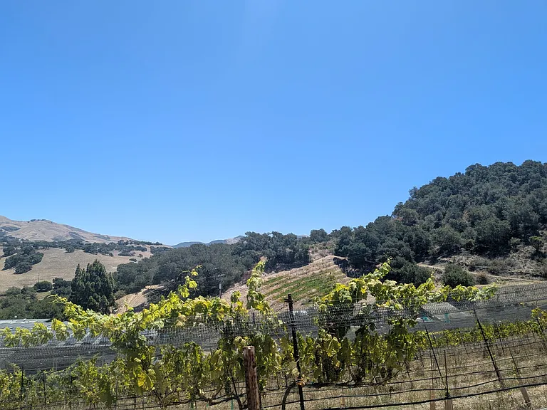 8565 Orcutt Rd — Photo 20