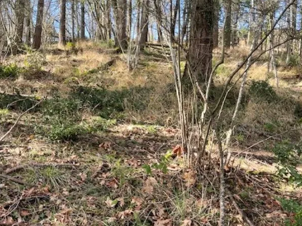 3872 Monroe St, Eugene, OR 97405