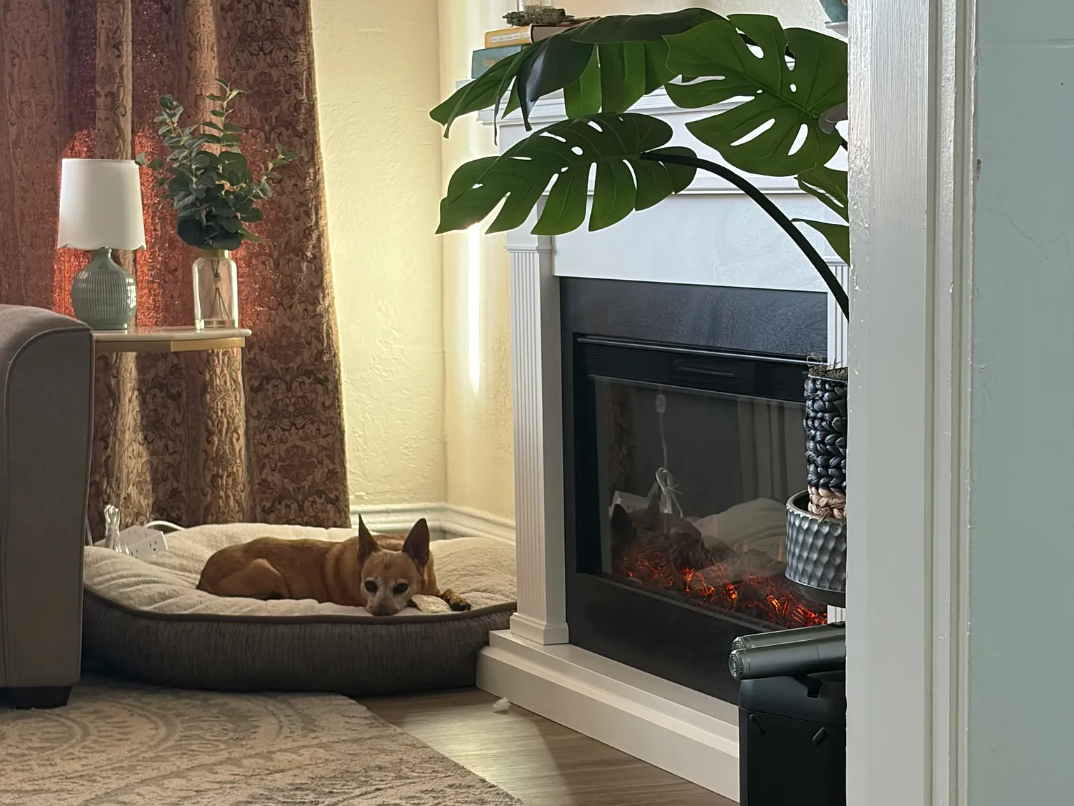 4 bed, 1.5 bath, 2000 sqft, $900 — Photo 3