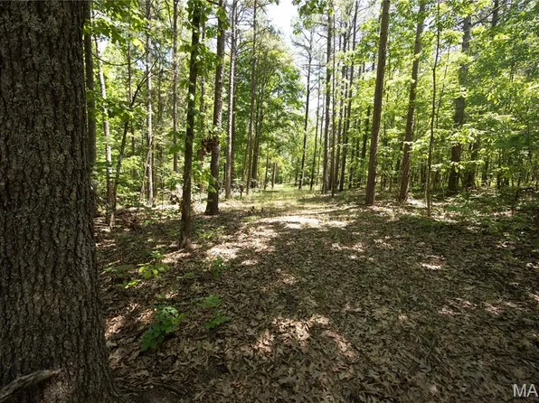 TRACT 4 Bcr 930, Patton, MO 63662