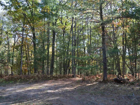 Rose Ridge Rd NE #E-3, Kalkaska, MI 49646