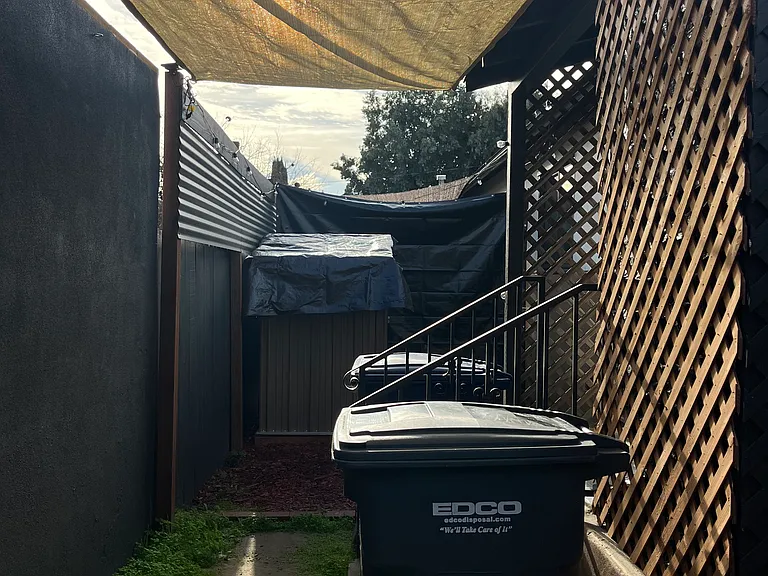 View of the backyard.