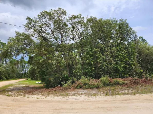 Tiny Avenue Lot #5, Interlachen, FL 32148