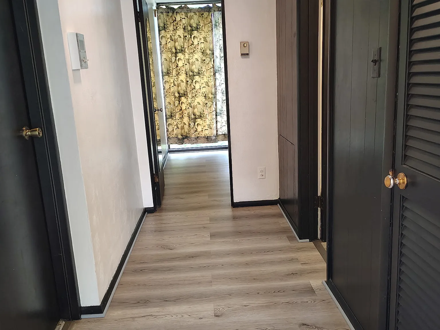 1 bed, $850 — Photo 3