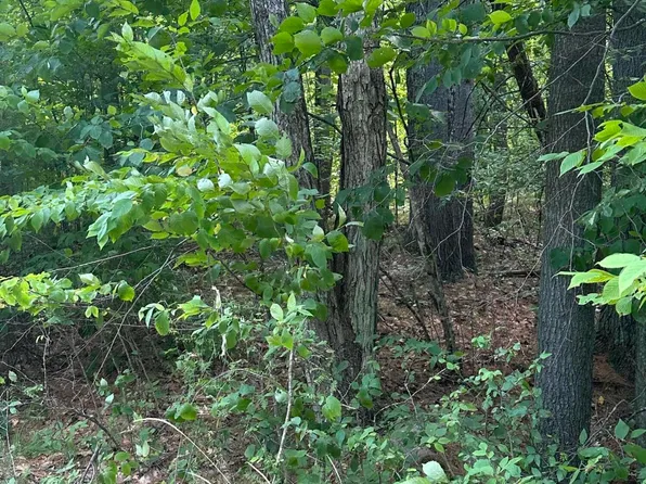 129 Cottontail Ln, Jay, NY 12941