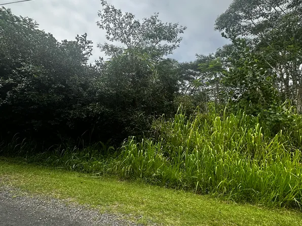 4th Ave Lot 1319, Keaau, HI 96749