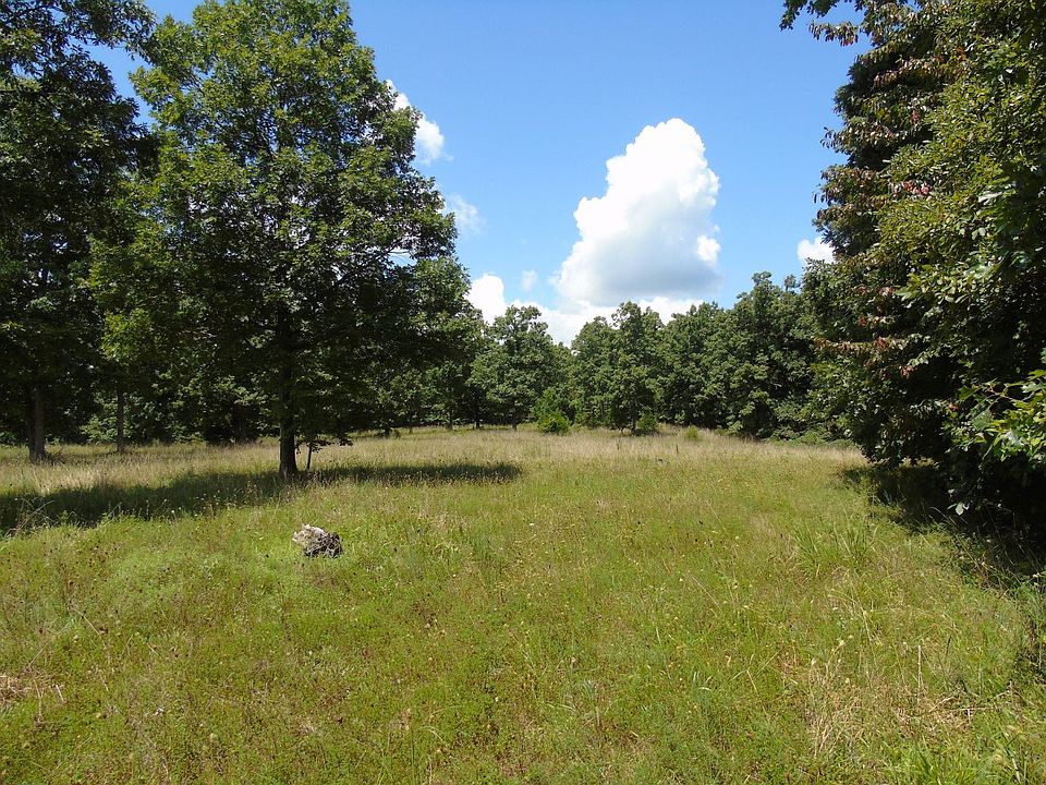 South food plot.