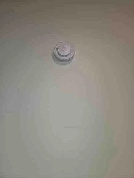 12 Courtright St — Photo 3