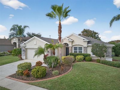 10539 Gooseberry Ct, New Port Richey, FL, 34655