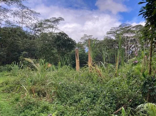 Lehua Rd Lot 417, Pahoa, HI 96778
