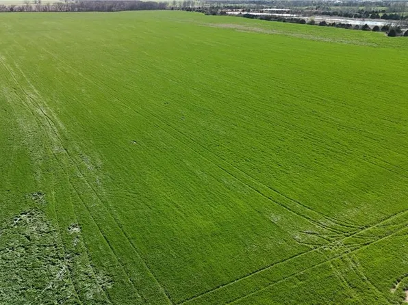 E Lady Rd, Nevada, MO 64772