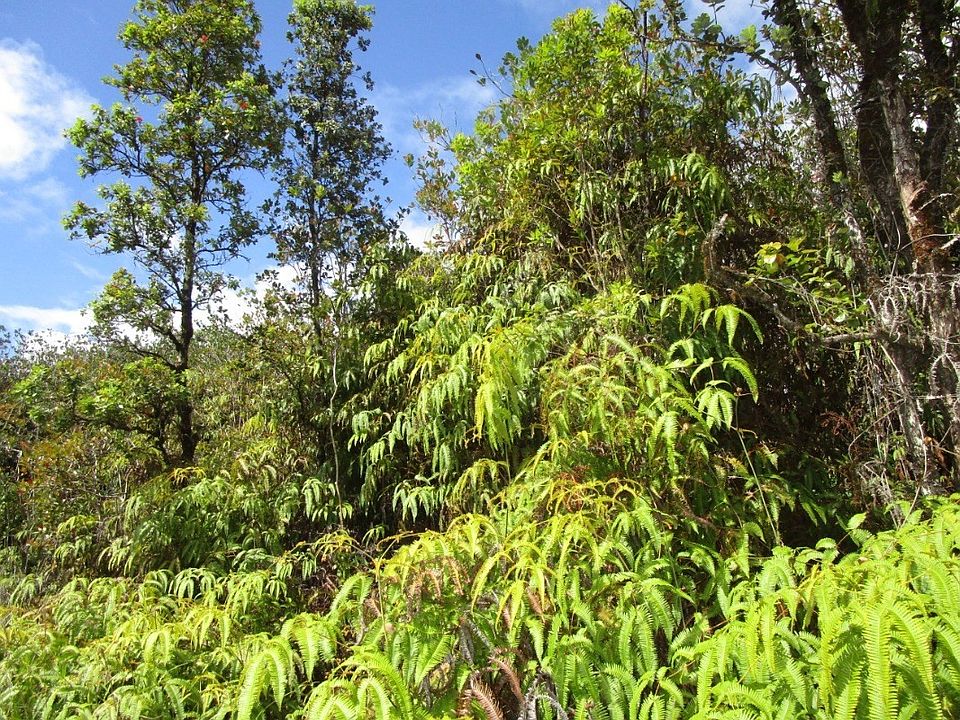 2nd image of Hopue Road Rd #3-lot 3310