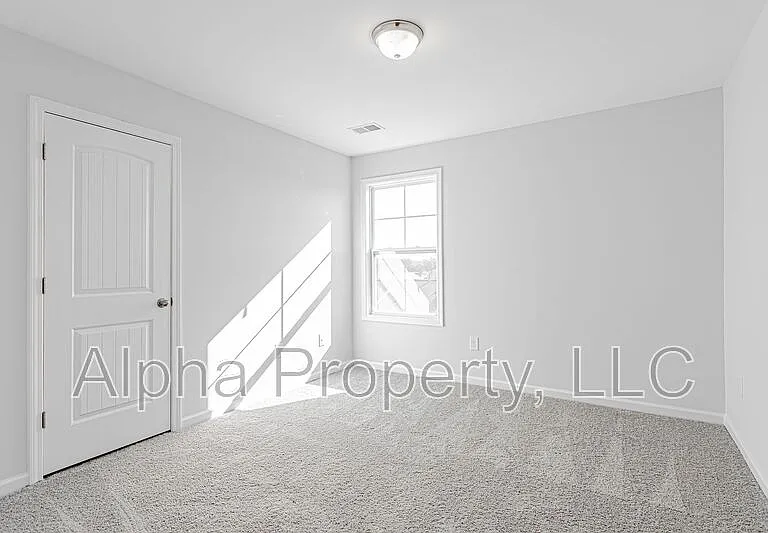 328 Trail Branch Ct — Photo 11