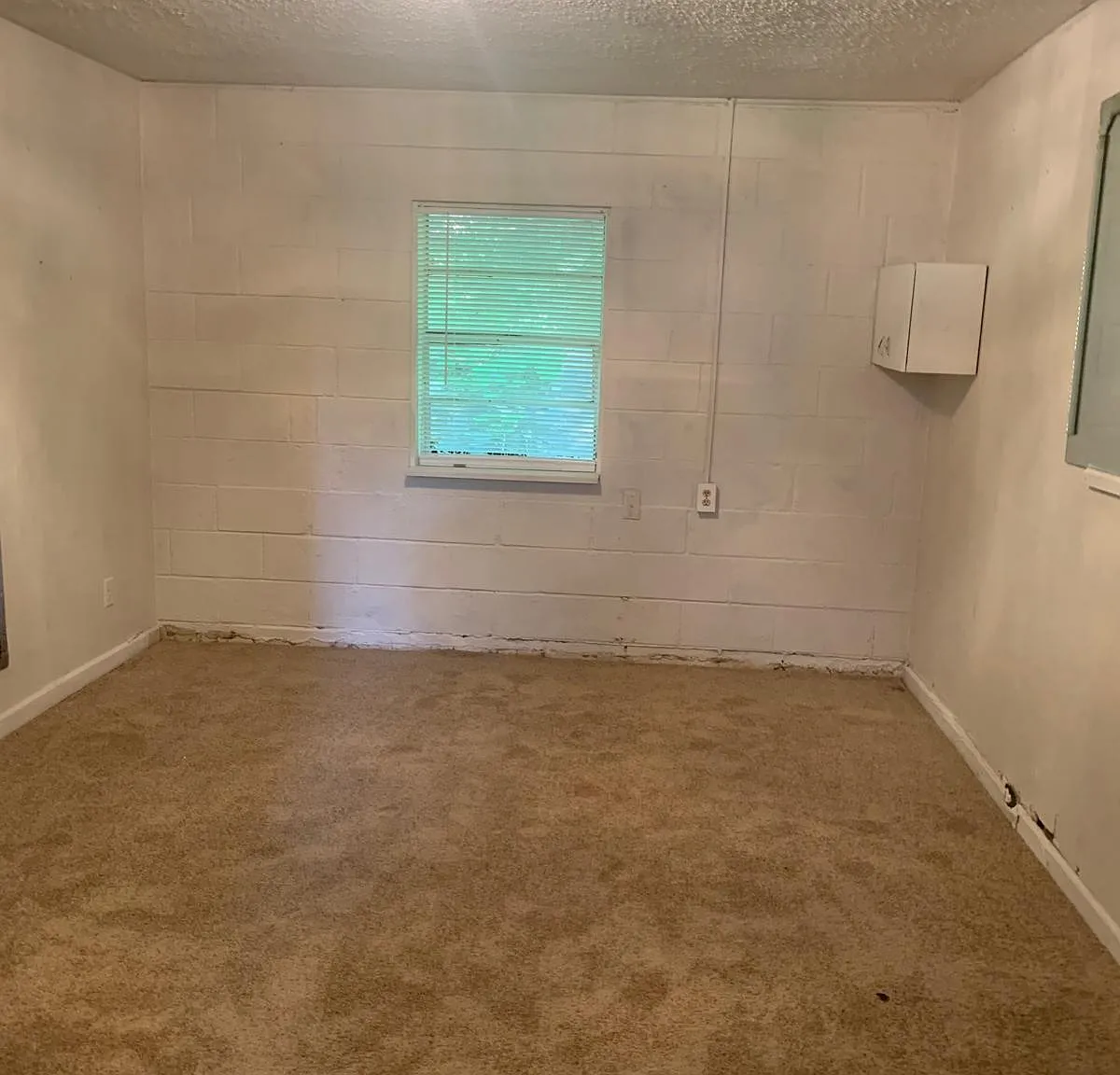 2232 Petros Browning Rd — Photo 3