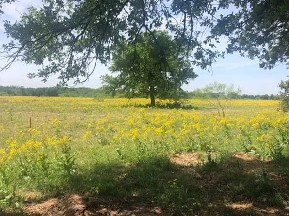 9235 John Cotton Rd, Calvert, TX 77837