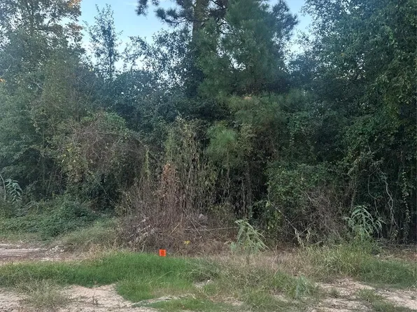 19687 Pine Hvn, Conroe, TX 77385