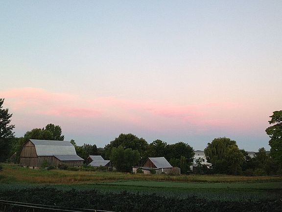 View from Front Window