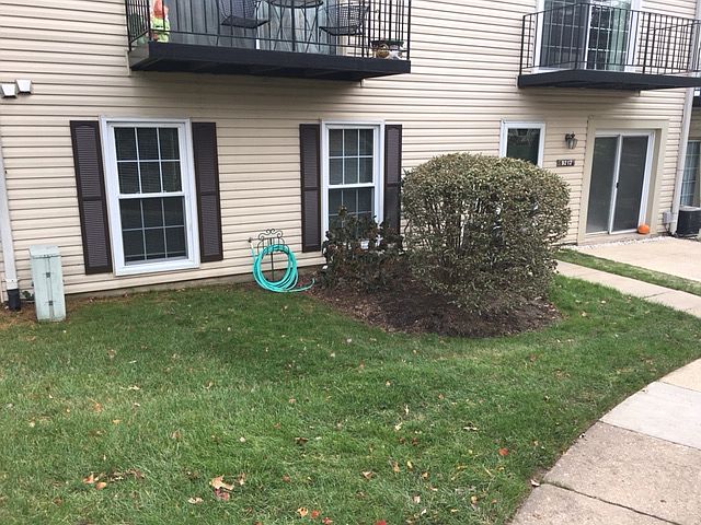 Pic from reserved parking.