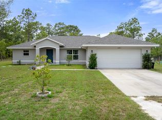 16473 Scaup Duck Ave, Weeki Wachee, FL 34614