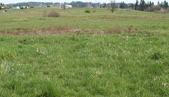1st image of 31515 NE 26th Ave
