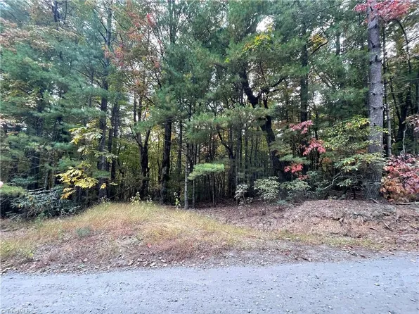 Timber Ridge Rd, Millers Creek, NC 28651