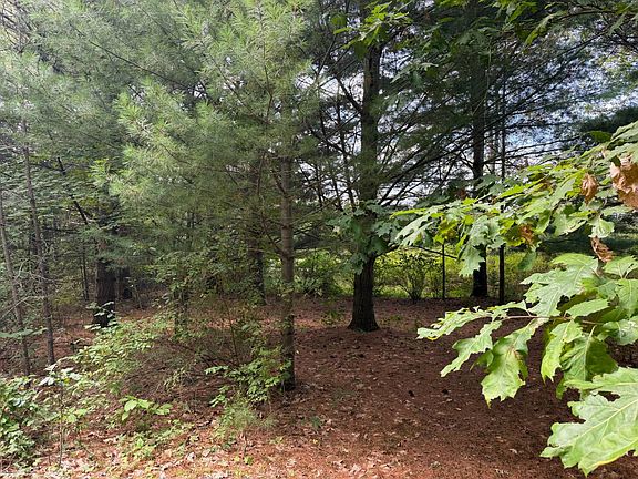 2nd image of 0 McConnell Rd