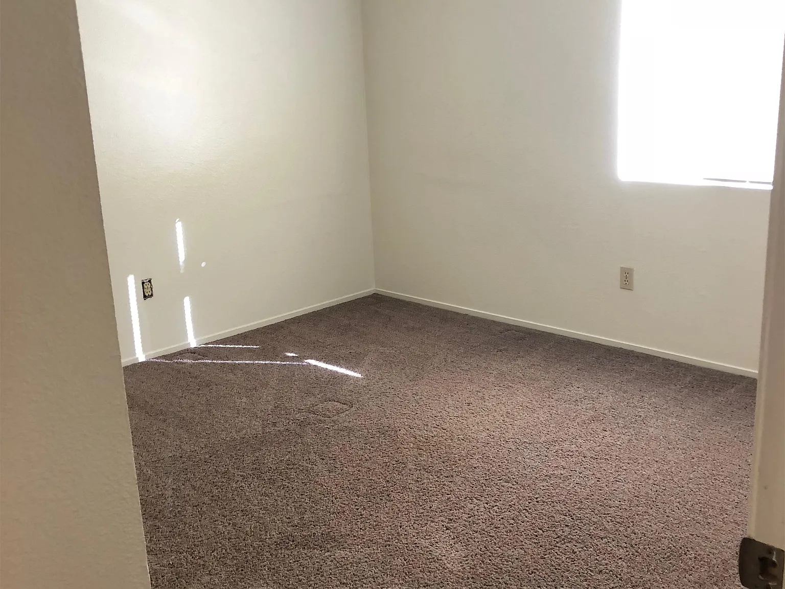 8706 Lyn River Ct - D — Photo 2