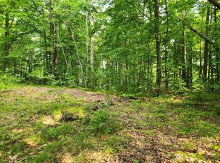 14429 Paya Lake Rd, Mountain, WI 54149