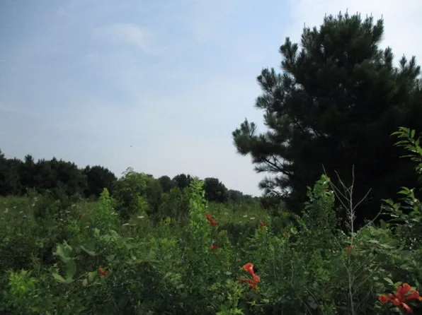 3 Cherrystone Rd, Cheriton, VA 23316