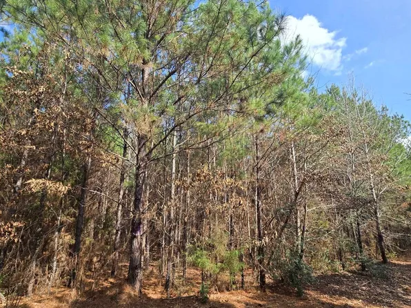 County Road 272 N, Henderson, TX 75652