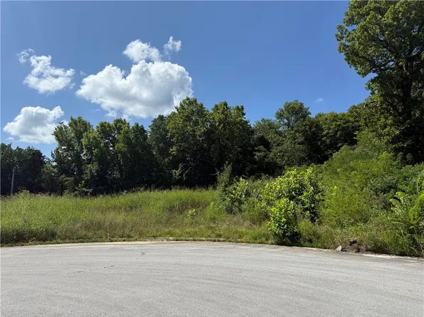 387 & 397 Hidden Creek Pl #9, West Fork, AR 72774