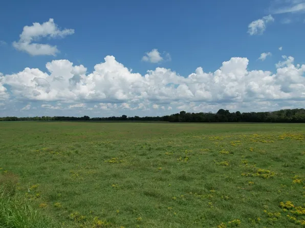 0 Wright Rd, Chapel Hill, TN 37034