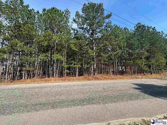 3rd image of Willie Lear Rd