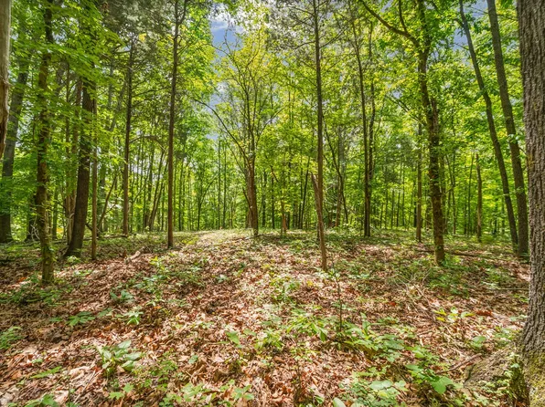 2 Budds Creek Rd Lot 2, Palmyra, TN 37142