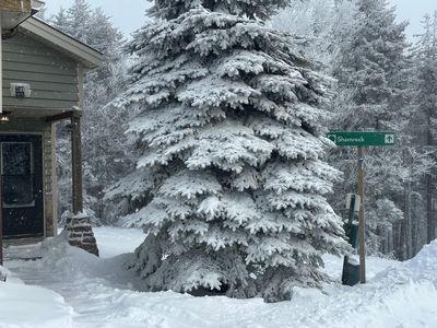 41 Shamrock Cir, Snowshoe, WV, 26209