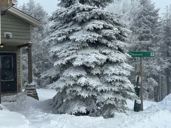 41 Shamrock Cir, Snowshoe, WV 26209