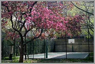 Sold by Camhi NYC Realty Inc