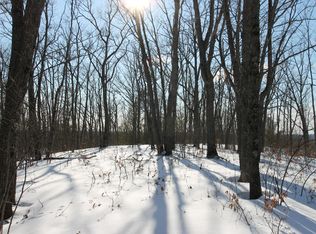 Skyline Rd, Grayling, MI 49738