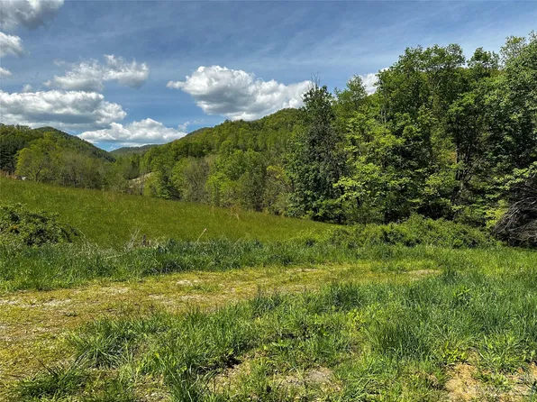 1163 Beans Creek Rd, Bakersville, NC 28705