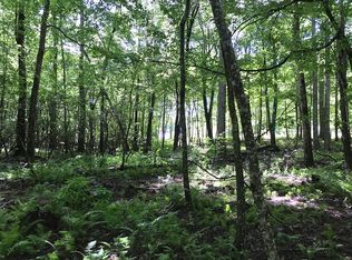 0 Luisa Lake Loop LOT 29, Monteagle, TN 37356