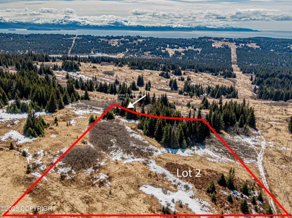 L2 Salins Spur Rd, Homer, AK 99603