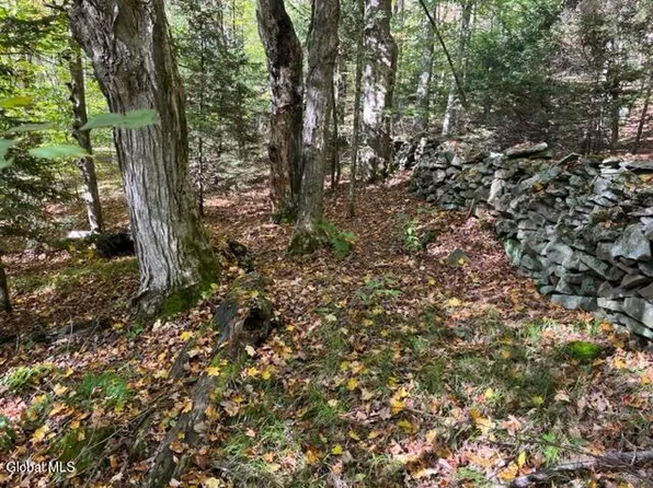 123 Wildwood Lane, Middleburgh, NY 12122