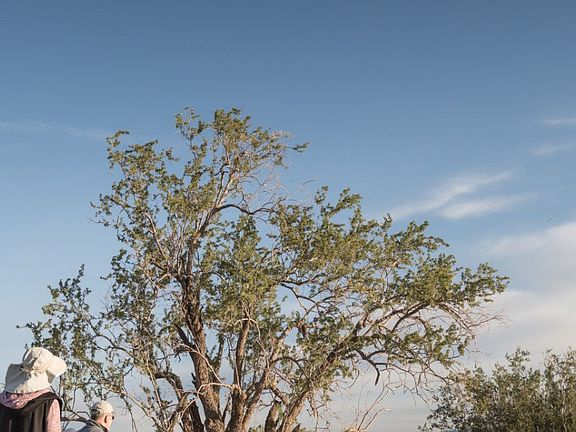 Trilogy Homeowners Hiking