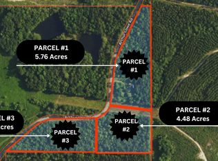 127 Arthur Lowe Rd PARCEL 1, Lumberton, MS 39455
