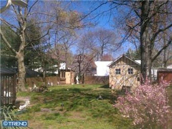 Back yard