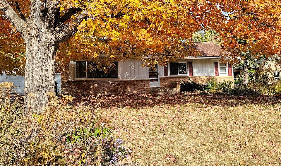 Sugar maple fall colors